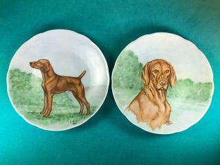 Vintage Vizsla Dog Handpainted Plates By Artist E.  Oakes,  Dated 1980