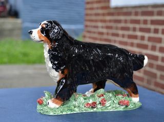 Bernese Mountain Dog.  Handsculpted Ceramic.  Ooak.  Look
