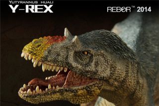 Rebor Jurassic Dinosaur 1/35 Scale Yutyrannus Huali Y - Rex Model Toy
