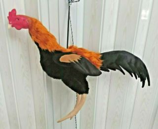 doll chickens for trainning roosters collectibles kids toy crafts equipment art 7