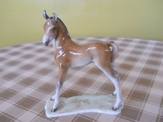 Rosenthal Colt Figurine,  German Hand - Painted Porcelain Horse,  Selb Germany