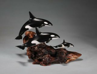 Orca Family Sculpture Direct From John Perry 6in Tall Medium Version.