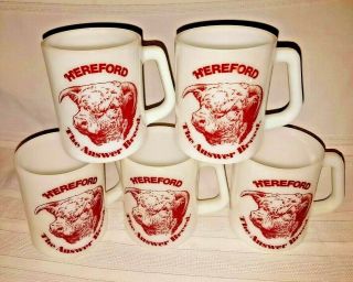 5 Vintage Hereford Steer Cow Bull The Answer Breed Mugs