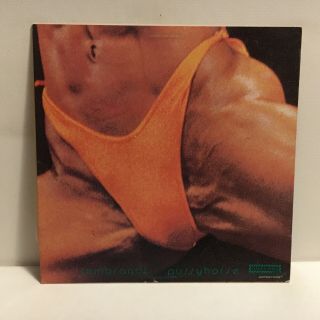 Butthole Surfers ‎Rembrandt Pussyhorse Vinyl Record LP Album Touch & Go T&GLP 8 2