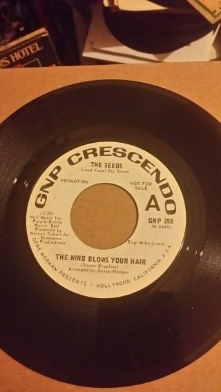 The Seeds " The Wind Blows Your Hair " 1967 Gnp Crescendo Promo Garage Rock 45