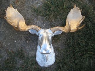 Large Silver Faux Moose Head Gold Antler Wall Mount Taxidermy Wall Decor
