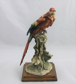 Capodimonte Ricardo Pennati Italian Parrot Bird Figurine 11 "