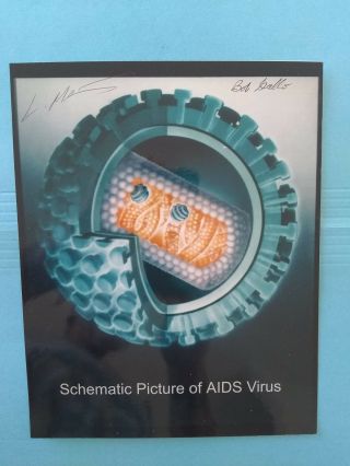Dr.  Robert Gallo & Luc Montagnier Aids Researchers Signed Aids Virus 8x10 Photo