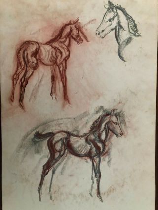 Two Maureen Love Art Pastel Drawing Horse Hagen Renaker Mustang Foal