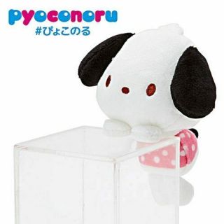 Sanrio Pochacco Pyoconoru Plush Doll 009113
