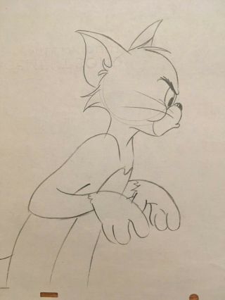 Tom And Jerry - Production Animation Drawing - Tom - (mgm,  Circa 1950s)