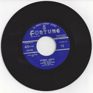 Rnb 45 - - Andre Williams With The Don Juans - Bobby Jean / It 