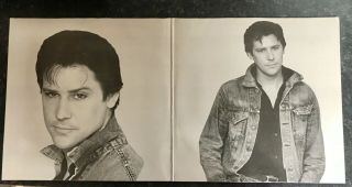 Shakin’ Stevens and The Sunsets ULTRA - RARE 2 - LP Set “World Star Collection” Ex. 2