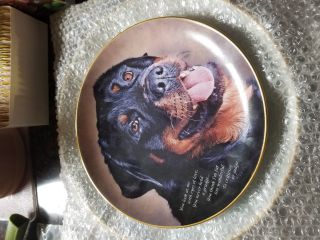 Rottweiler Collector Plates By The Danbury