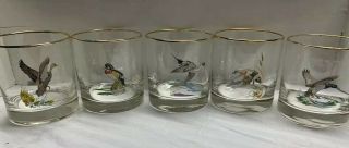 Ned Smith Hand Painted Duck Glasses Set Of 5 Lowballs Gold Trim Vtg