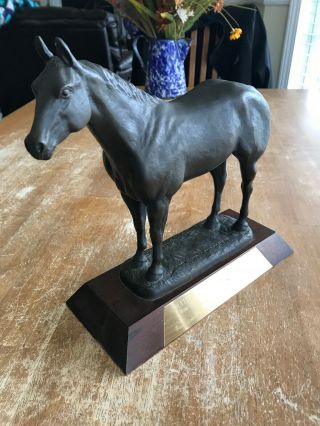 1988 Amatuer Grand Champion Gelding Trophy,  Bronze