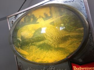 Budweiser Beer Sign light Old vintage PHEASANT bubble lighted wall 4