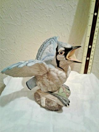 Vintage Boehm Porcelain Fledgling Blue Jay
