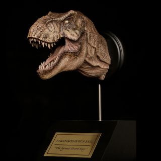 Female Tyrannosaurus T Rex Head Statue Dinosaur Model Figure Collector W - Dragon