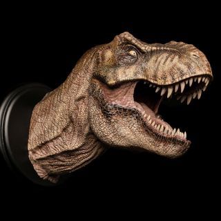 Female Tyrannosaurus T Rex Head Statue Dinosaur Model Figure Collector W - Dragon 2