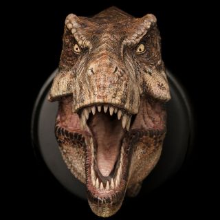 Female Tyrannosaurus T Rex Head Statue Dinosaur Model Figure Collector W - Dragon 3