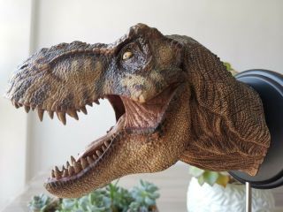 Female Tyrannosaurus T Rex Head Statue Dinosaur Model Figure Collector W - Dragon 4