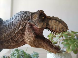 Female Tyrannosaurus T Rex Head Statue Dinosaur Model Figure Collector W - Dragon 5