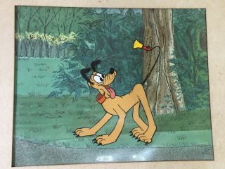 Pluto Hand Painted Celluloid Drawing By Walt Disney Productions 8 X 10