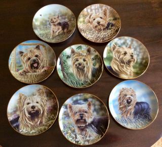 Complete Set Of 8 Danbury Yorkshire Terrier Plates