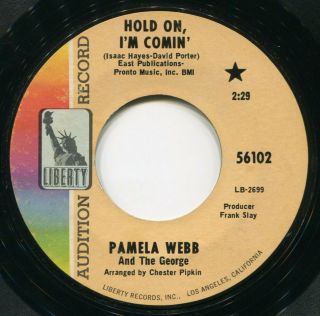 Pamela Webb Hold On I 