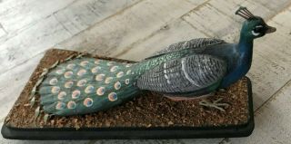 Stan Sparre Cape Cod Handpainted Peacock Bird Carving