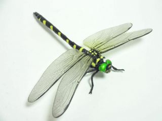 Yujin Jumbo Golden Ringed Dragonfly Bug Insect Pvc Figure Figurine Model Rare B