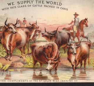 Cowboy Cattle Drive 1800 