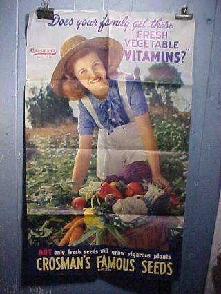 Orig 1930s Crosman Seed Co Country Store Advertising Poster W Color Image