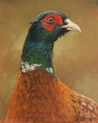 Pheasant Oil Painting By Award Winning Master Artist John Silver Ba