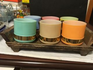Vtg Set Of Six Siesta Ware Pastel Woodem Handle Mugs Rare Open Handles Tray Incl