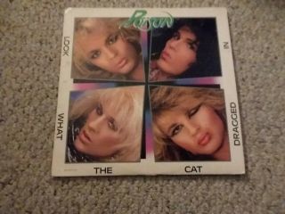Poison.  Vinyl Lp.  Look What The Cat Dragged In.  1986.  Enigma,  Heavy Metal