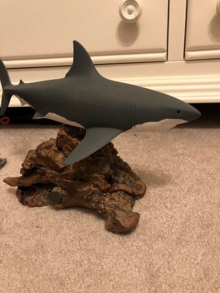 Shark Large John Perry Burlwood Shark Sculpture Tag 14.  5 Inch Long