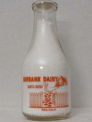 Trpq Milk Bottle Burbank Dairy Santa Rosa Ca Sonoma County Jersey Guernsey Rare