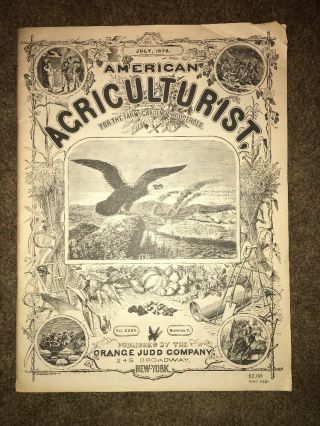 July 1876 American Agriculturist For Farm,  Garden & Household,  Orange Judd Co.