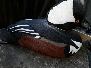 Limited Edition Loon Lake Hooded Merganser Decoy Made By Sam Nottleman