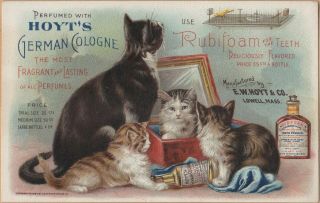 Victorian Trade Card - Hoyt 