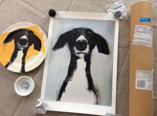 Greyhound Whippet Galgo Print & Plate Set By Sally Muir,  Uk Artist