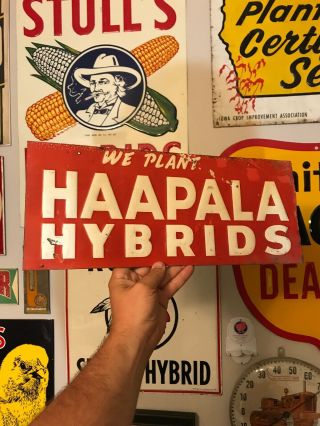 We Plant Haapala Hybrids Seed Corn Sign Tin Tacker Minnesota Farm Feed