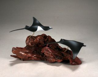 Manta Ray Pair Sculpture Direct From John Perry Airbrushed Statue Decor