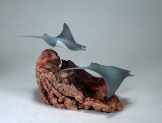 MANTA RAY Pair Sculpture direct from JOHN PERRY Airbrushed Statue Decor 2