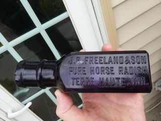Deep Purple Terre Haute,  Indiana J.  R.  Freeland & Son Pure Horse Radish