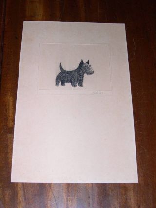 Antique Scottish Terrier Dog Drawing By G.  Weire 1928