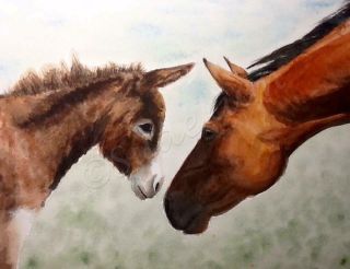 Watercolor Horse Donkey Friends Painting