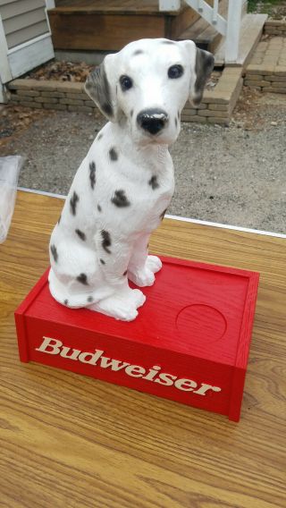 2000 Rare Budweiser Dalmatian Dog " Sparky " Beer Bottle Display